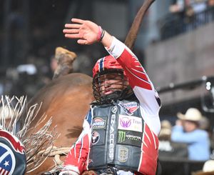 Image post by @flfreedompbr on Instagram