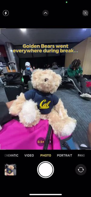 Video post by @ucberkeley on TikTok