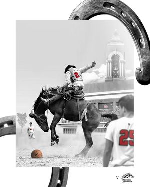 Image post by @bsusportslink on Instagram