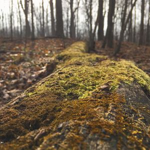 Image post by @motorcityaxe on Instagram