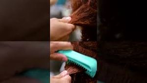Video post by @aveda on YouTube