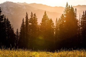 Image post by @pcski on Instagram