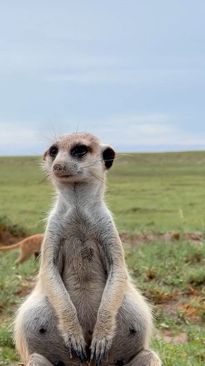 Video post by @bbcearth on Instagram