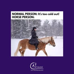 Image post by @equine_entrepreneurs_ on Instagram
