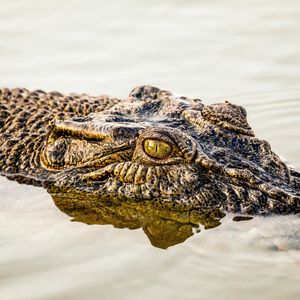 Image post by @discovery on Instagram