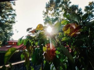 Image post by @ep_photos on Instagram