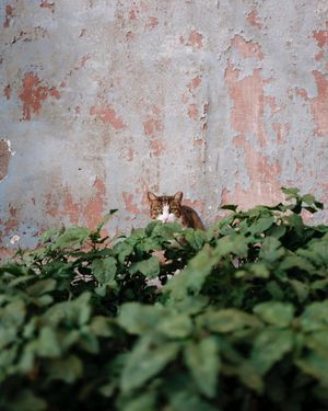 Image post by @living.stills on Instagram