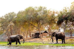 Image post by @chiawasafaris on Instagram