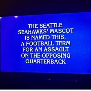 Image post by @blitztheseahawk on Instagram