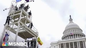 Video post by @msnbc on YouTube