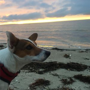 Image post by @snaffle_it on Instagram