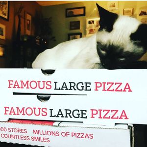 Image post by @caseys on Instagram