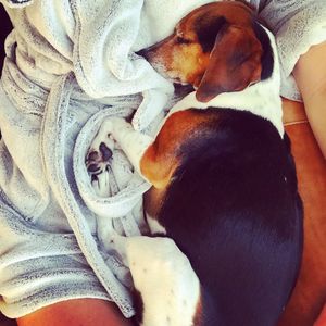 Image post by @laraleatrump on Instagram