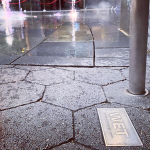 Image post by @cowmissing on Instagram