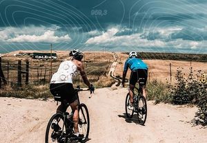 Image post by @focofondo on Instagram