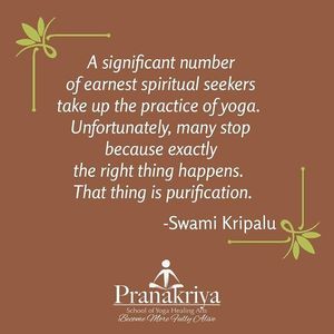 Image post by @pranakriya on Instagram