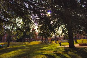 Image post by @nauflagstaff on Instagram
