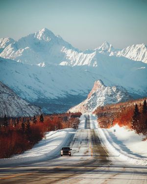 Image post by @discovery on Instagram