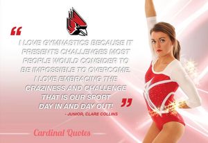 Image post by @ballstategym on Instagram