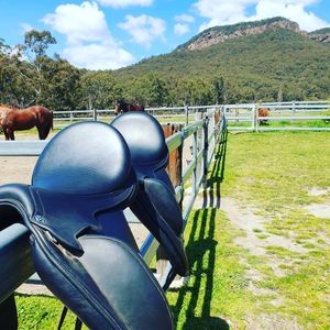 Image post by @performancesaddlefitssthsydney on Instagram