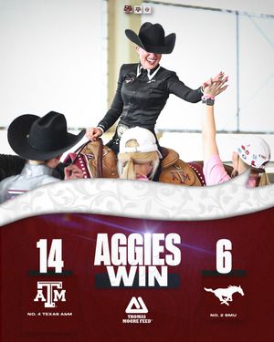 Image post by @AggieEquestrian on Twitter/X