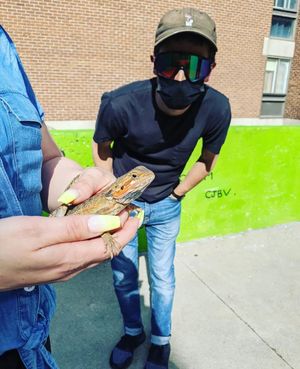 Image post by @mtl_unscripted on Instagram