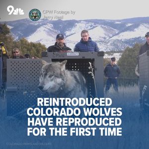 Image post by @9newsdenver on Instagram