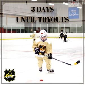 Image post by @sullyshockeyacademy on Instagram