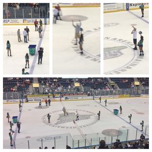 Image post by @fl_everblades on Instagram