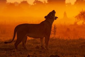 Image post by @natgeo on Instagram