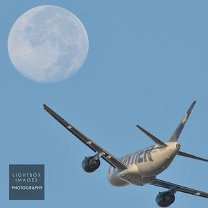 Image post by @lightboximages on Instagram