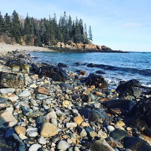 Image post by @themainemag on Instagram