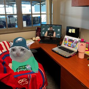 Image post by @IronPigs on Twitter/X