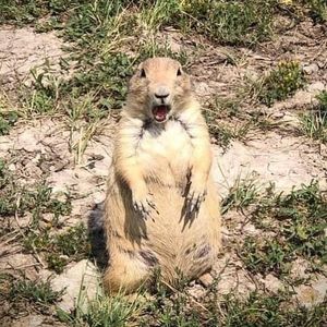 Image post by @nationalparkservice on Instagram