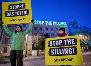 Image post by @greenpeace on Instagram