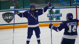 Image post by @NiagaraMHKY on Twitter/X