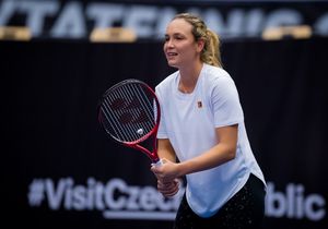 Image post by @donnavekic on Instagram