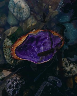 Image post by @amy.kennedy.photos on Instagram