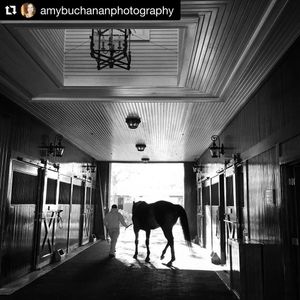 Image post by @spendthriftfarm on Instagram