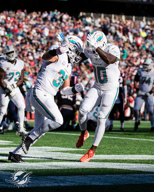 Image post by @dolphins_esp on Instagram