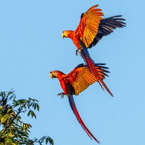 Image post by @natgeo on Instagram