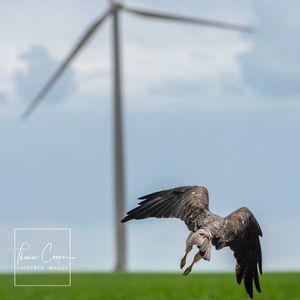 Image post by @lightboximages on Instagram