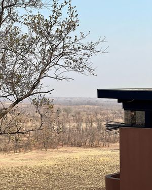Image post by @chiawasafaris on Instagram