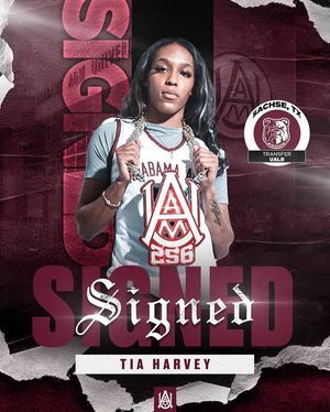 Image post by @aamuwbb on Instagram