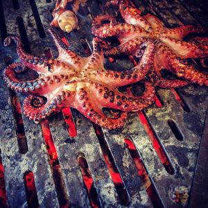Image post by @kalamazoogrills on Instagram