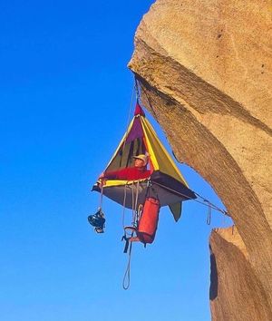 Image post by @fubiz on Instagram