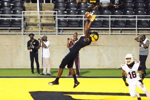 Image post by @UAPBLionsRoar on Twitter/X