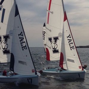 Image post by @yalesailing on Instagram