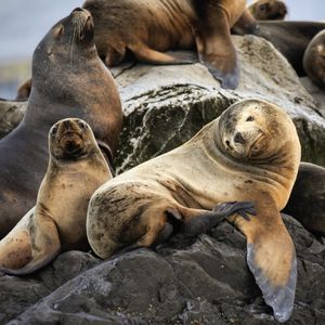 Image post by @natgeo on Instagram