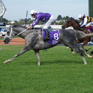 Image post by @australianturfclub on Instagram